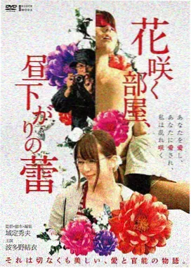 逆光而行